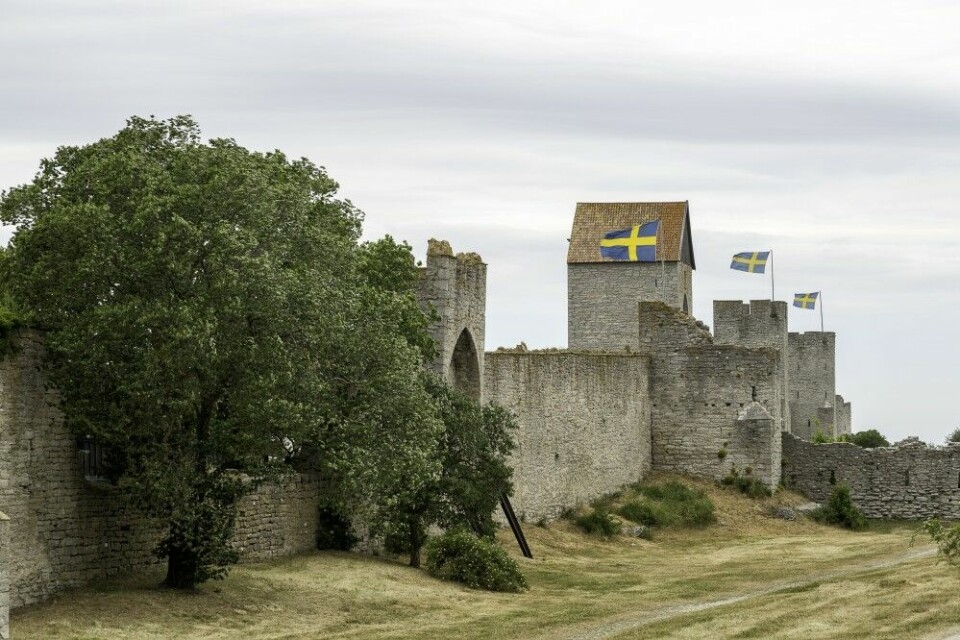 Gotland er også et yndet reisemål for den historieinteresserte. Fra de eldste tider har øya spilt en viktig rolle som handels- og kulturmidtpunkt i Østersjøen. På Gotland finner du Skandinavias best bevarte middelalderby, Visby, som i 1995 kom på UNESCOs kultur- og naturarvliste (World Heritage).