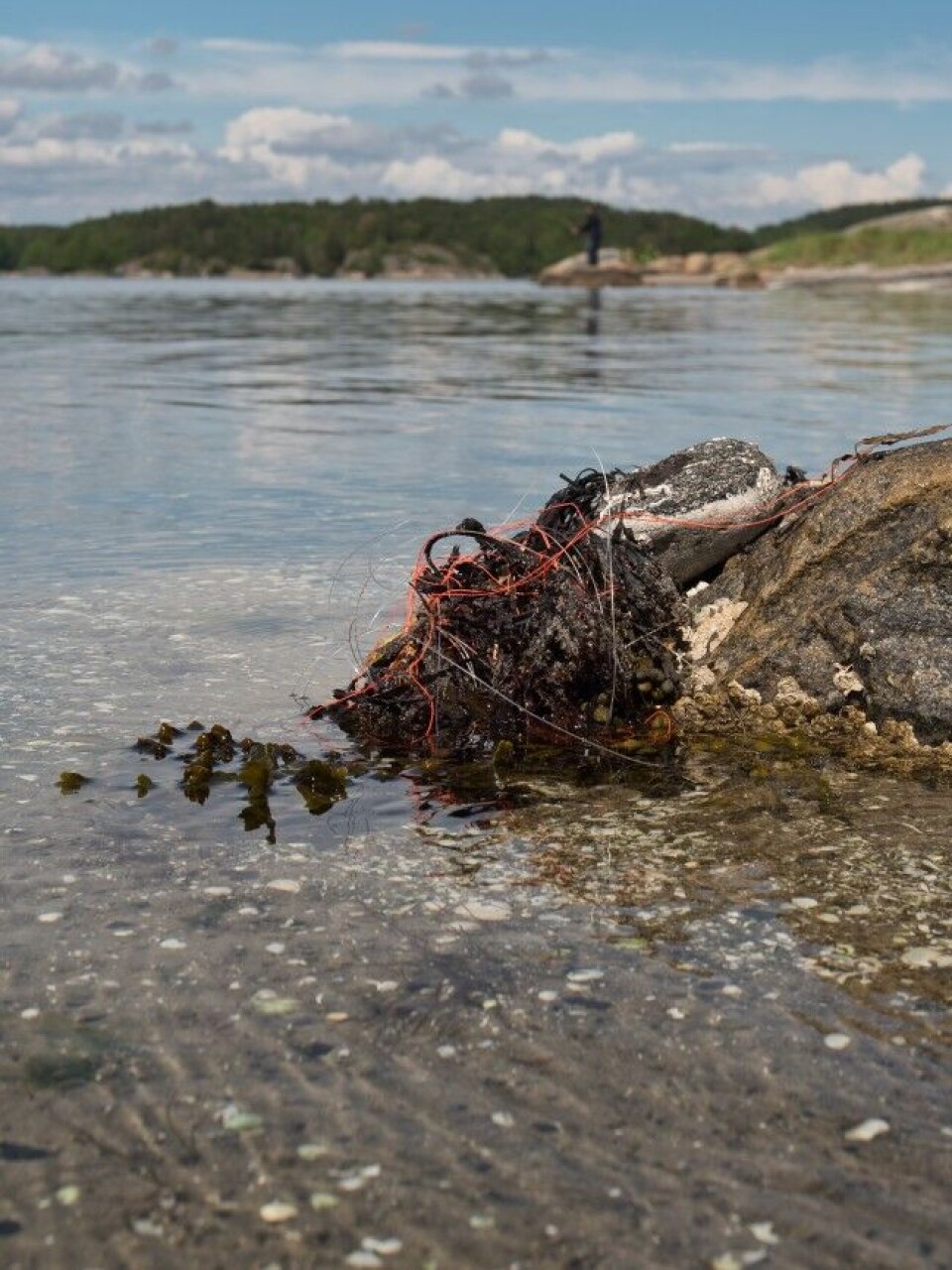Det er forholdsvis enkelt å unngå forsøpling som dette. Bildet er fra Tromøya i Arendal. Det er forholdsvis enkelt å unngå forsøpling som dette. Bildet er fra Tromøya i Arendal.