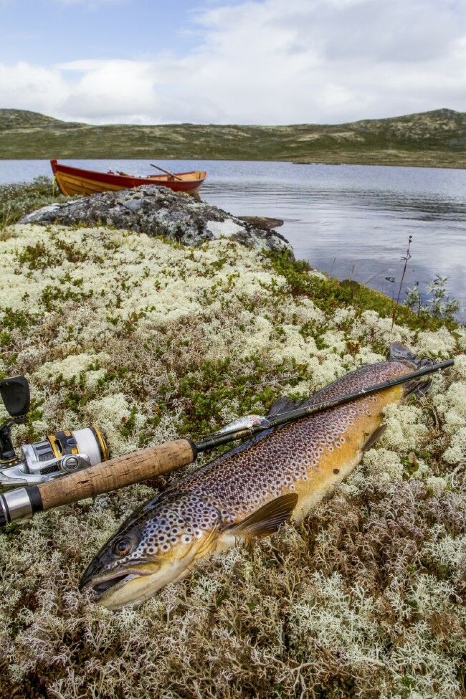 En perfekt avslutning på en dag i robåt i høyden. Mange vann og hytter har robåter som kan leies og visse områder kan du også ta med egen båt eller kano for å dorging, kasting eller for den saks skyld bruke oteren – hvis du har lyst og lov. En perfekt avslutning på en dag i robåt i høyden. Mange vann og hytter har robåter som kan leies og visse områder kan du også ta med egen båt eller kano for å dorging, kasting eller for den saks skyld bruke oteren – hvis du har lyst og lov.