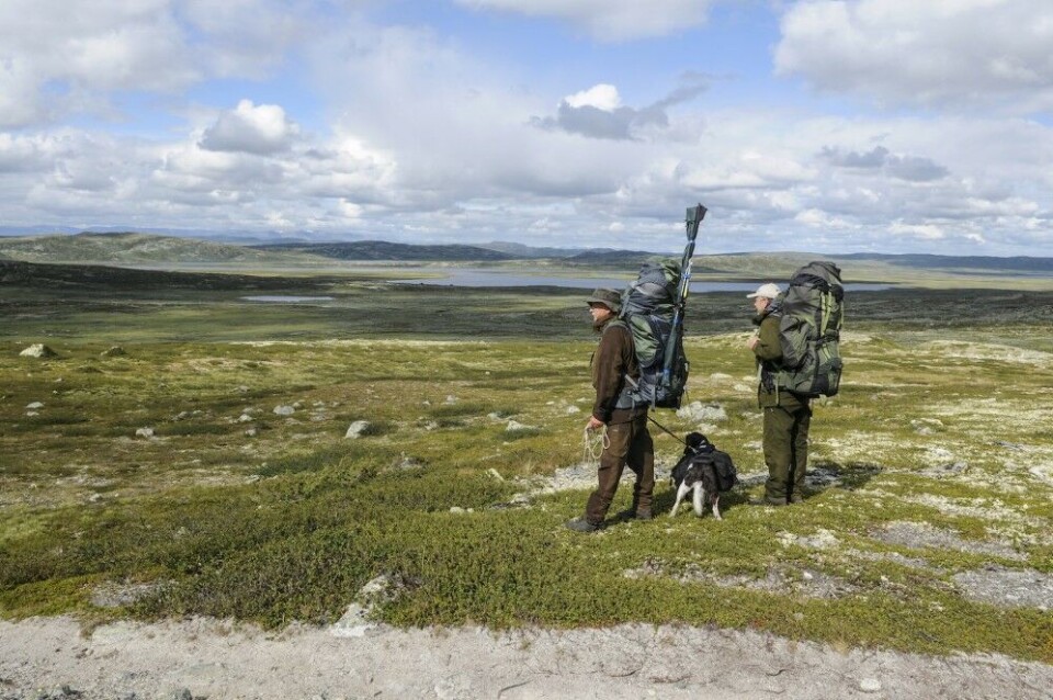 Turen mellom Mårbu turisthytte og Geitvassdalen tar fem-seks timer med full oppakning. Den merkete turiststien er stort sett lett å gå. Turen mellom Mårbu turisthytte og Geitvassdalen tar fem-seks timer med full oppakning. Den merkete turiststien er stort sett lett å gå.