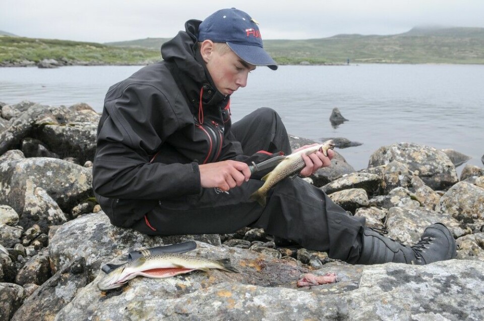 15 år gamle Tore Solberg Engebretsen fra Søndre Land fikk oppleve prima fjellfiske under vår utflukt.