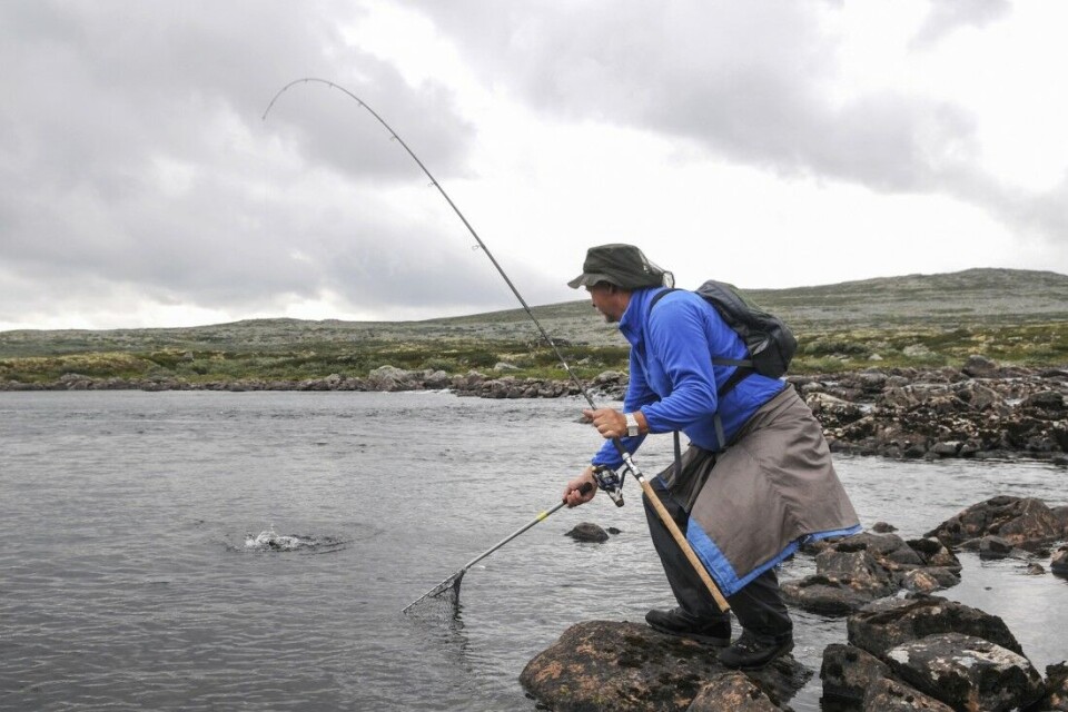Innenfor statsallmenningens grenser finnes det flere private vann. I Geitvassdalen gjelder statsfiskekortet kun for fiske i strømmende vann. Innenfor statsallmenningens grenser finnes det flere private vann. I Geitvassdalen gjelder statsfiskekortet kun for fiske i strømmende vann.