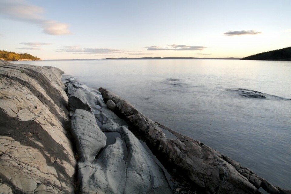 Kveldsstemning i Sandbukta vest for Tofte – delvis naturreservat og et av de mest urørte naturområdene på Hurumlandet Kveldsstemning i Sandbukta vest for Tofte – delvis naturreservat og et av de mest urørte naturområdene på Hurumlandet