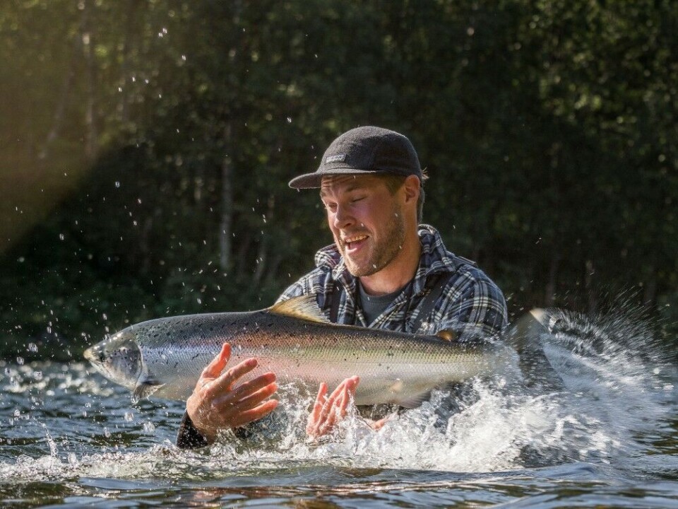 (Juryen bemerker at det kanskje ikke er den optimale fang & slipp-håndtering av fisken, men det er vurderingen av vinnerbildets kvalitet som er det vesentlige her.) (Juryen bemerker at det kanskje ikke er den optimale fang & slipp-håndtering av fisken, men det er vurderingen av vinnerbildets kvalitet som er det vesentlige her.)