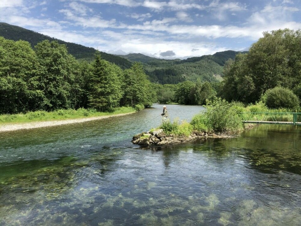 «Min kone, Monica, prøver å lure laksen i krystallklare Eidselva i Nordfjord.» «Min kone, Monica, prøver å lure laksen i krystallklare Eidselva i Nordfjord.»