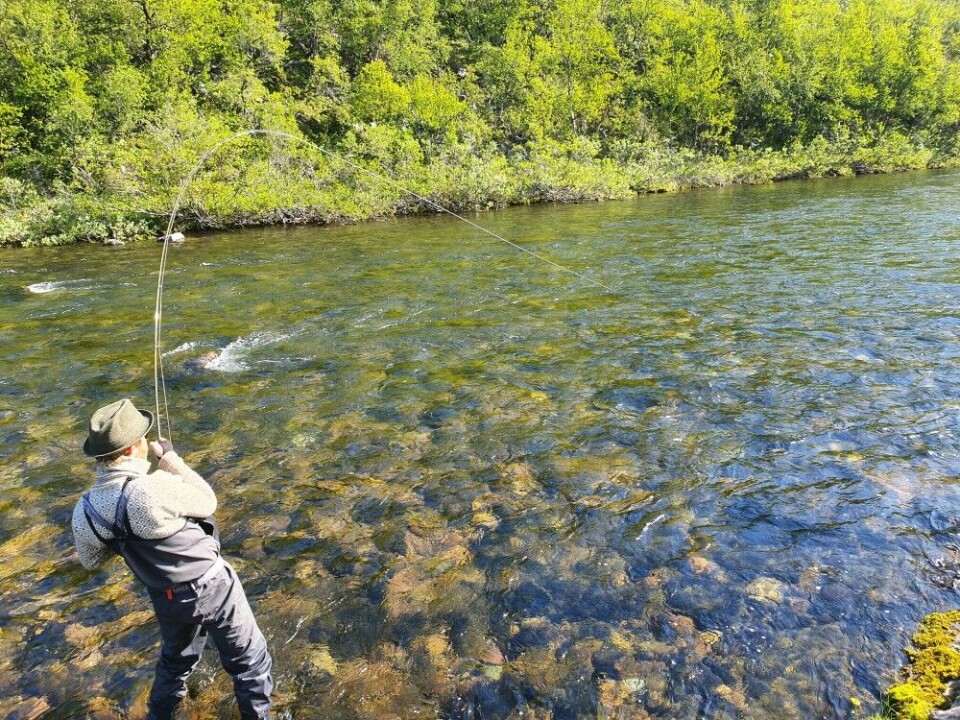 «Dragkamp med 5-kiloslaks i Syltefjordelva, 12. juli. Fikk etter hvert laksen på land, ny pers på enhåndsstanga!» «Dragkamp med 5-kiloslaks i Syltefjordelva, 12. juli. Fikk etter hvert laksen på land, ny pers på enhåndsstanga!»