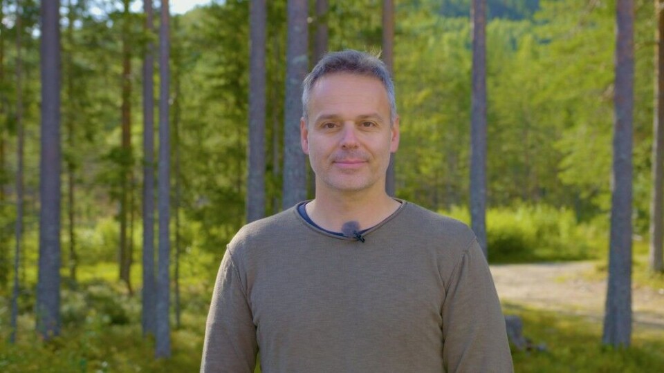 Samlet er binna og ungene mer beskyttet overfor eldre hannbjørner, men også jakt. Om det er et valg eller instinkt er usikkert. Andreas Zedrosser kaller tendensen en overlevelsesstrategi. Samlet er binna og ungene mer beskyttet overfor eldre hannbjørner, men også jakt. Om det er et valg eller instinkt er usikkert. Andreas Zedrosser kaller tendensen en overlevelsesstrategi.