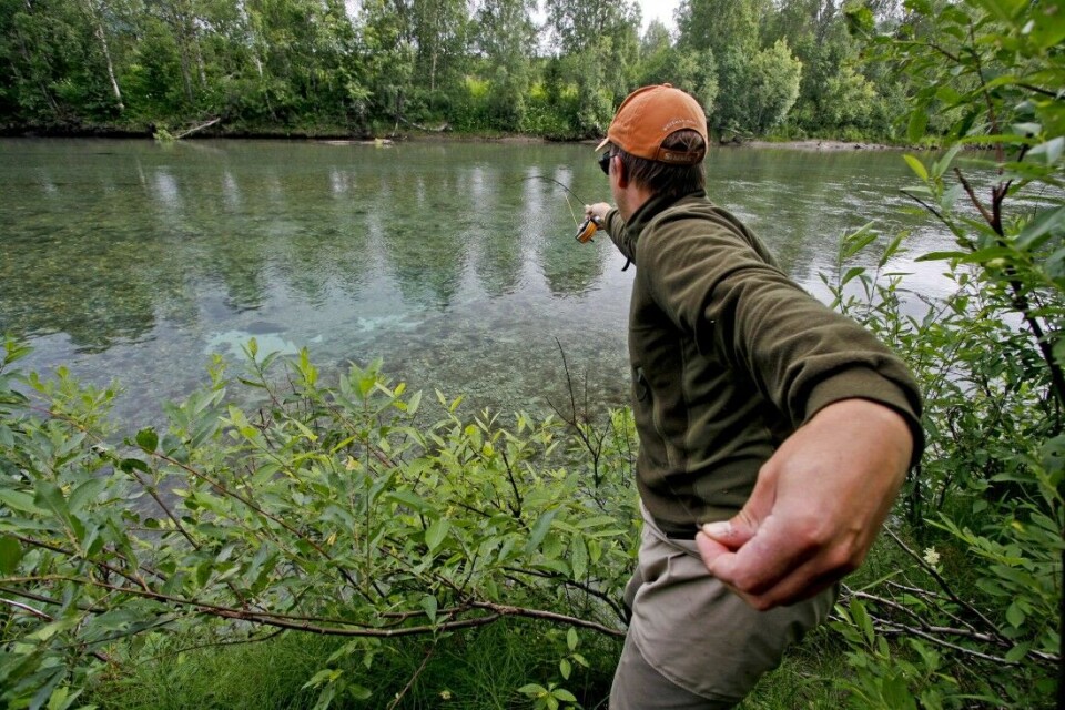 Prøv sprettertmetoden