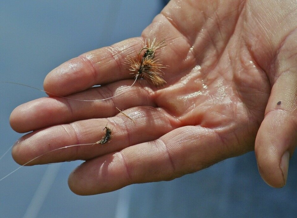 Så enkel kan en dobbelrigg være. En nymfe bundet fast i krokbøyen på en tørrflue med god flyte-evne kan være utslagsgivende når fisken spiser nymfer på grunt vann.