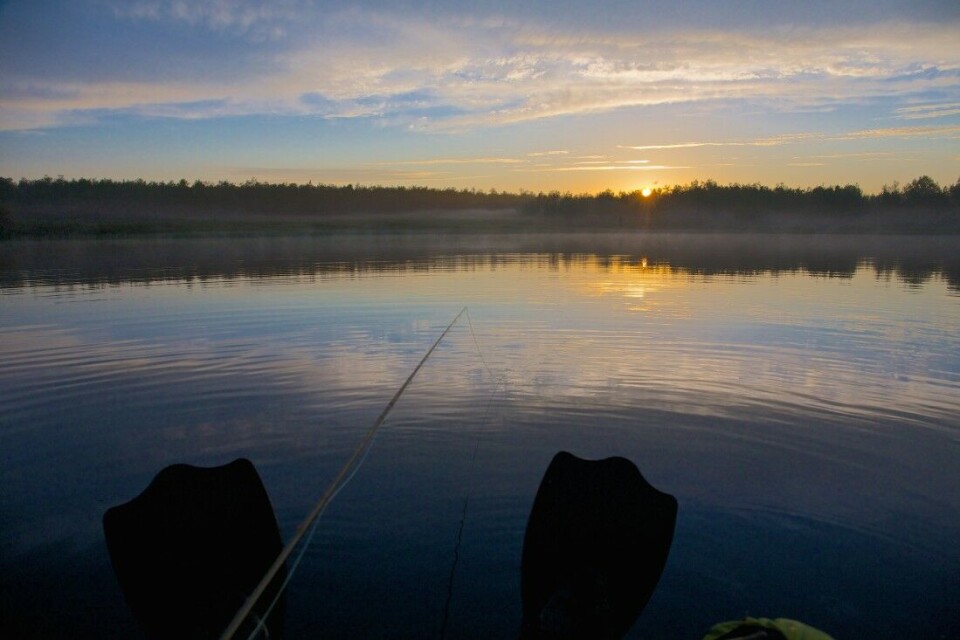 Lykken er å se ut som en forvokst badeand på et storørretvann. Lykken er å se ut som en forvokst badeand på et storørretvann.