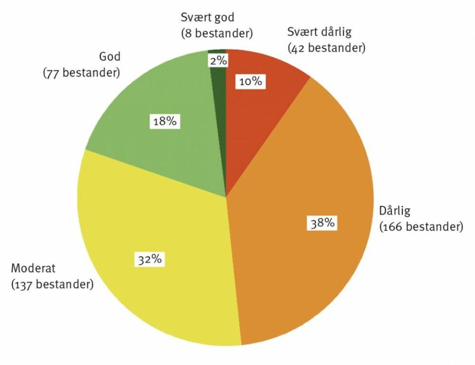 Figur 1. Prosentvis andel av våre sjøørretbestander i svært god, god, moderat, dårlig og svært dårlig tilstand. Nær halvparten (208 av 430 bestander) er i dårlig eller svært dårlig forfatning. Figur 1. Prosentvis andel av våre sjøørretbestander i svært god, god, moderat, dårlig og svært dårlig tilstand. Nær halvparten (208 av 430 bestander) er i dårlig eller svært dårlig forfatning.