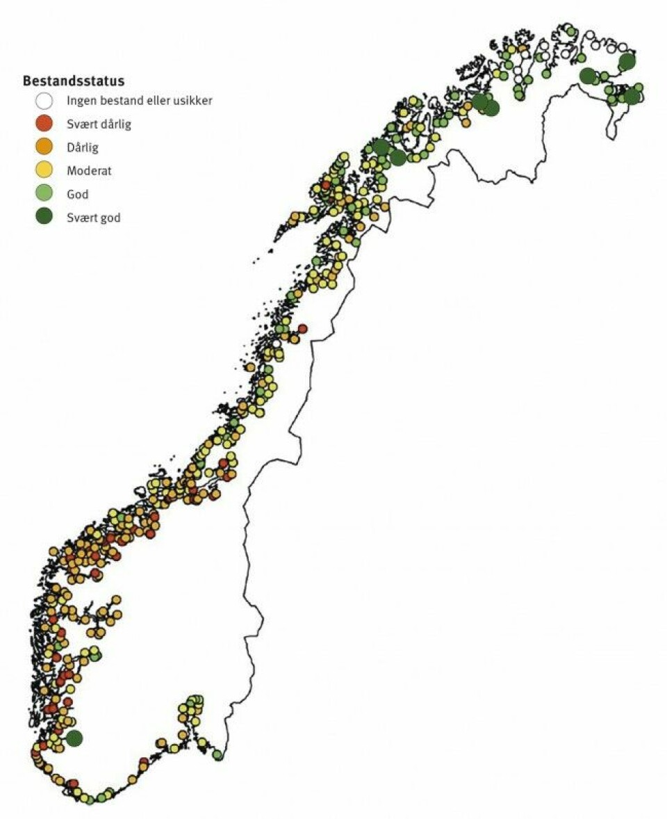 Kartet levner liten tvil om hvor du reise, dersom sjøørretfiske i elv hører til dine favoritter. Jo lenger nord, desto bedre blir det. 46 av elvene i Finnmark og Troms kan vise til en god, eller svært god sjøørretbestand.