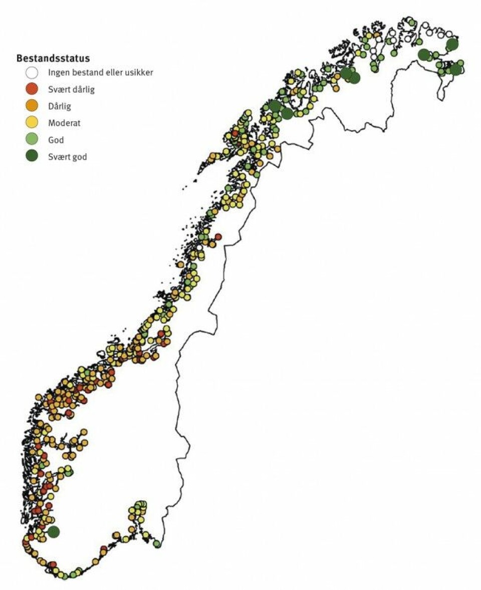 Kartet levner liten tvil om hvor du reise, dersom sjøørretfiske i elv hører til dine favoritter. Jo lenger nord, desto bedre blir det. 46 av elvene i Finnmark og Troms kan vise til en god, eller svært god sjøørretbestand. Kartet levner liten tvil om hvor du reise, dersom sjøørretfiske i elv hører til dine favoritter. Jo lenger nord, desto bedre blir det. 46 av elvene i Finnmark og Troms kan vise til en god, eller svært god sjøørretbestand.