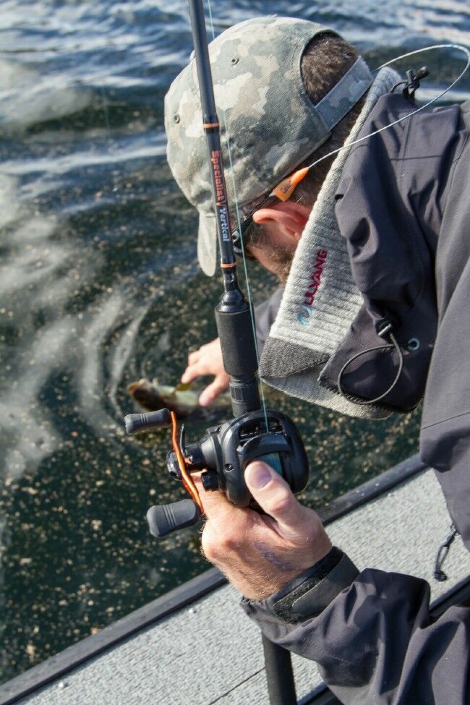 Grunntvannsfisker som lyr og torsk er som skapt for fiske med korte stenger og moderne teknikker. Her lander enda en ”nyfrelst” vertikalfisker en lyr en høstdag i Sør-Norge