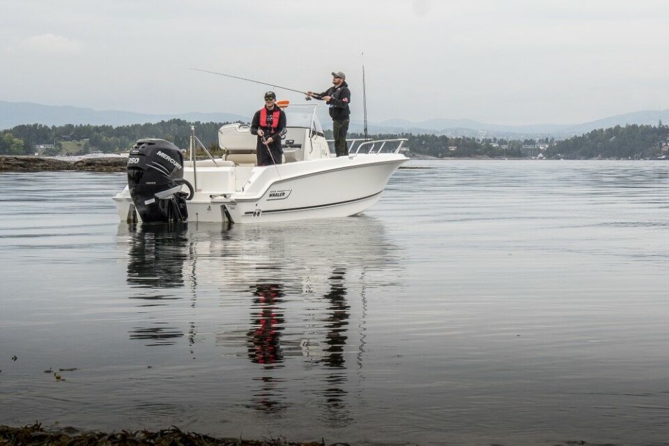Kystfiske fra båt er mer populært enn noen gang. Ikke alle har en luksus fiskebåt fra Boston Whaler til rådighet, men korte stenger – kan alle bruke! Her fisker en med en 7 fots stang mot land, mens fiskeren i baugen bruker en 9 fots stang for lange kast. Kystfiske fra båt er mer populært enn noen gang. Ikke alle har en luksus fiskebåt fra Boston Whaler til rådighet, men korte stenger – kan alle bruke! Her fisker en med en 7 fots stang mot land, mens fiskeren i baugen bruker en 9 fots stang for lange kast.