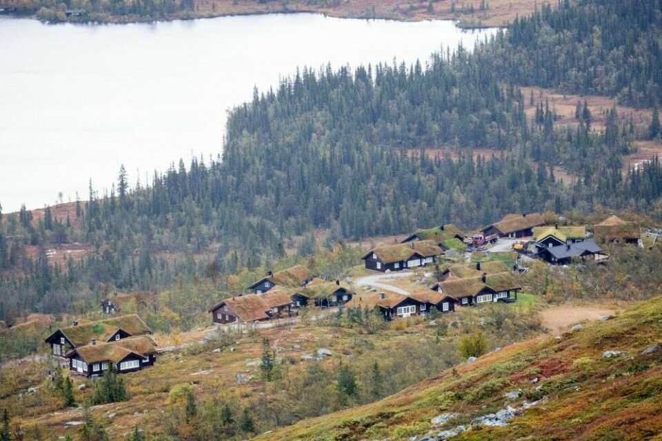 Ved Flenten er villreinområdet Norefjell-Reinsjøfjell nesten delt i to av hyttefelt.