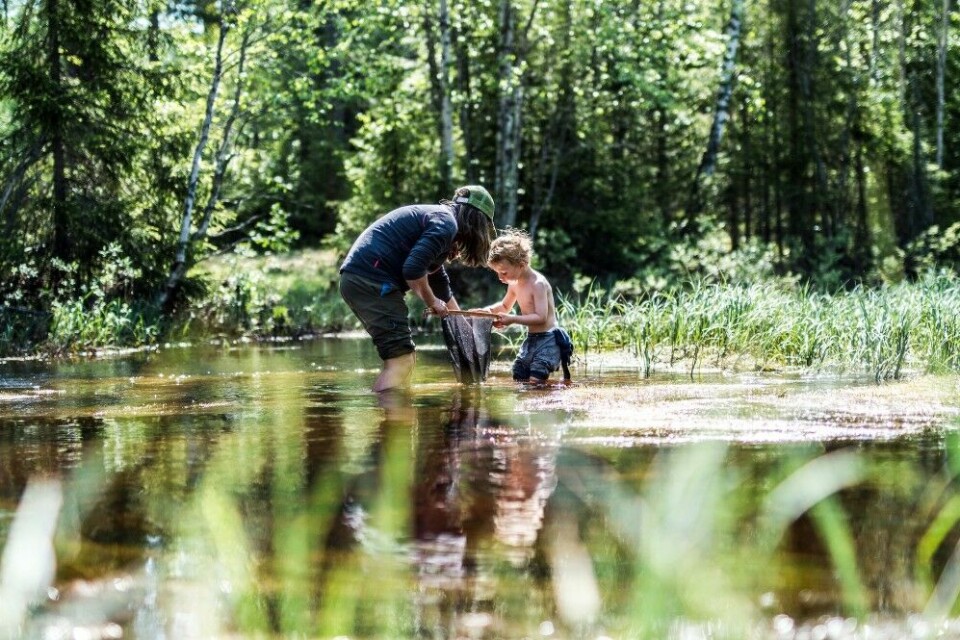 Dennis Simonsen Lindstad synes det er spennende å være på oppdagelse i elva…