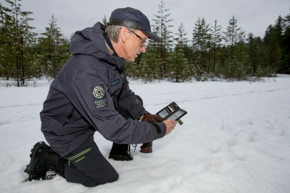 Med mobilappen Skandobs og tommestokk, er man godt utstyrt for å sjekke spor i marka, sier Jan Wilberg. Foto:
