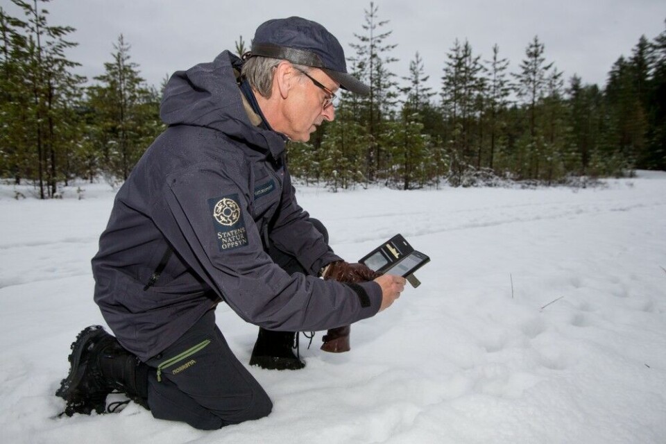 Med mobilappen Skandobs og tommestokk, er man godt utstyrt for å sjekke spor i marka, sier Jan Wilberg. Foto: Med mobilappen Skandobs og tommestokk, er man godt utstyrt for å sjekke spor i marka, sier Jan Wilberg. Foto: