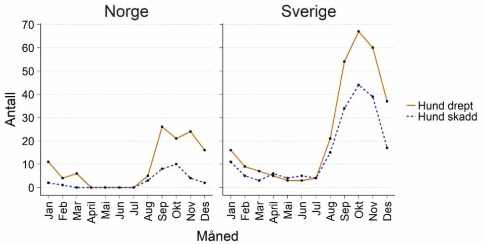 Antall hunder som ble drept eller skadd som følge av ulveangrep per måned i Norge og Sverige, for årene 1995–2017. Antall hunder som ble drept eller skadd som følge av ulveangrep per måned i Norge og Sverige, for årene 1995–2017.