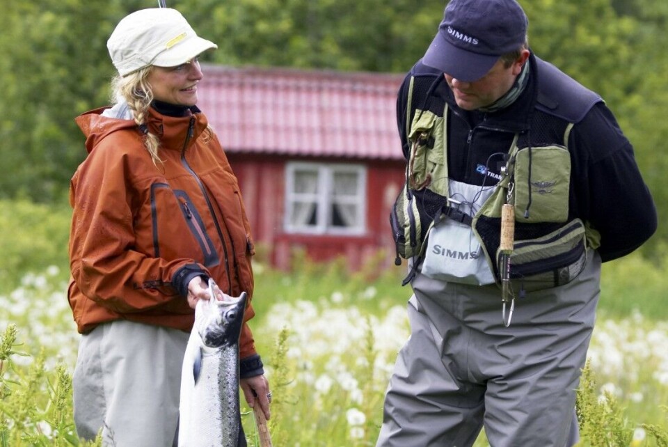 Rømt oppdrettsfisk eller villaks?