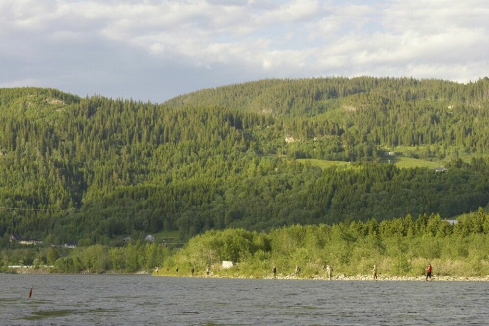 Tidligere sto laksefiskerne tett på det populære Vormstad-valdet. Slik så det ut på i midten av juni i 2005.