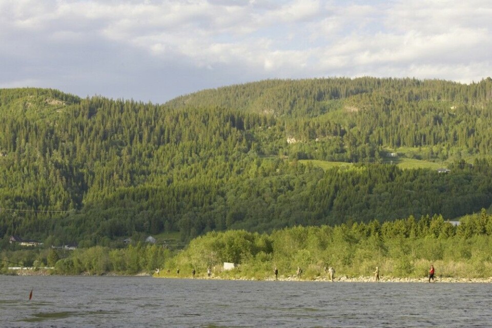 Tidligere sto laksefiskerne tett på det populære Vormstad-valdet. Slik så det ut på i midten av juni i 2005. Tidligere sto laksefiskerne tett på det populære Vormstad-valdet. Slik så det ut på i midten av juni i 2005.