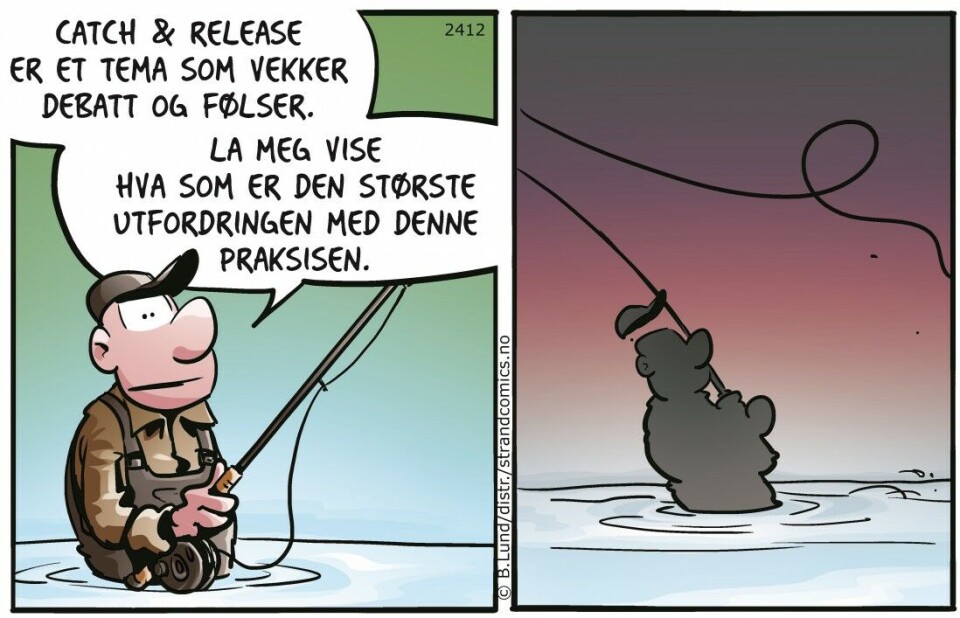 Tid for lakse-LUNCH?