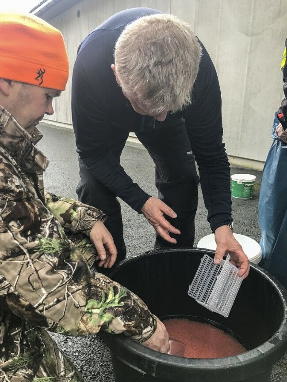 Det drives et omfattende kultiveringsarbeid i Årdalselva, blant annet rognplanting. Det drives et omfattende kultiveringsarbeid i Årdalselva, blant annet rognplanting.