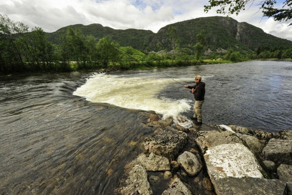 Jone Askeland frister laks i hvitskummet under terskelen på sona Linjer i Årdalselva. Jone Askeland frister laks i hvitskummet under terskelen på sona Linjer i Årdalselva.