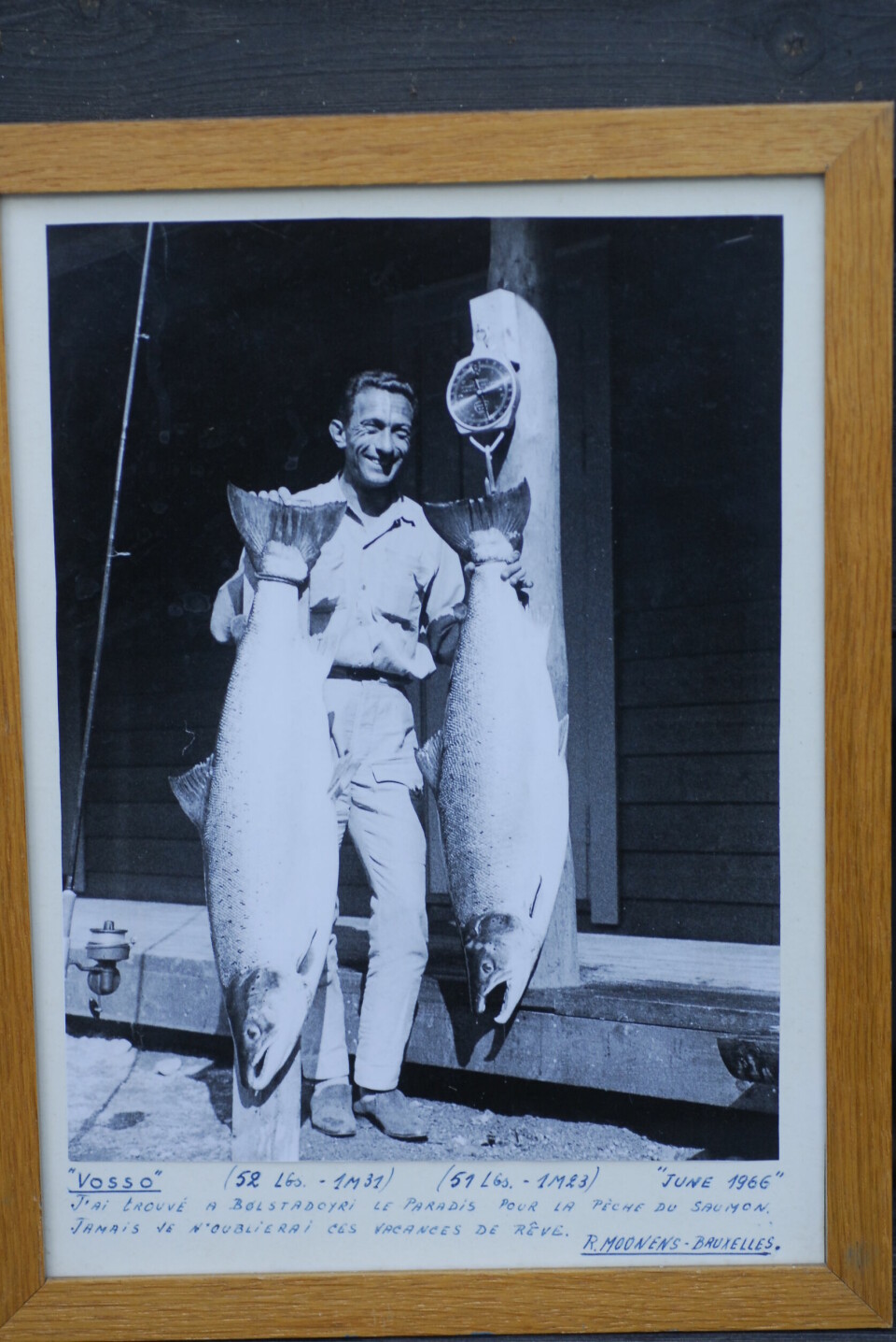 Happy days! I sine velmaktsdager i 1960 årene og 70-tallet var Vossolaksen verdensberømt for sin størrelse. Her to eksemplarer på 23,5 kg og 23,1kg, fisket i Bolstadelva, nedre del av vassdraget, i juni 1966