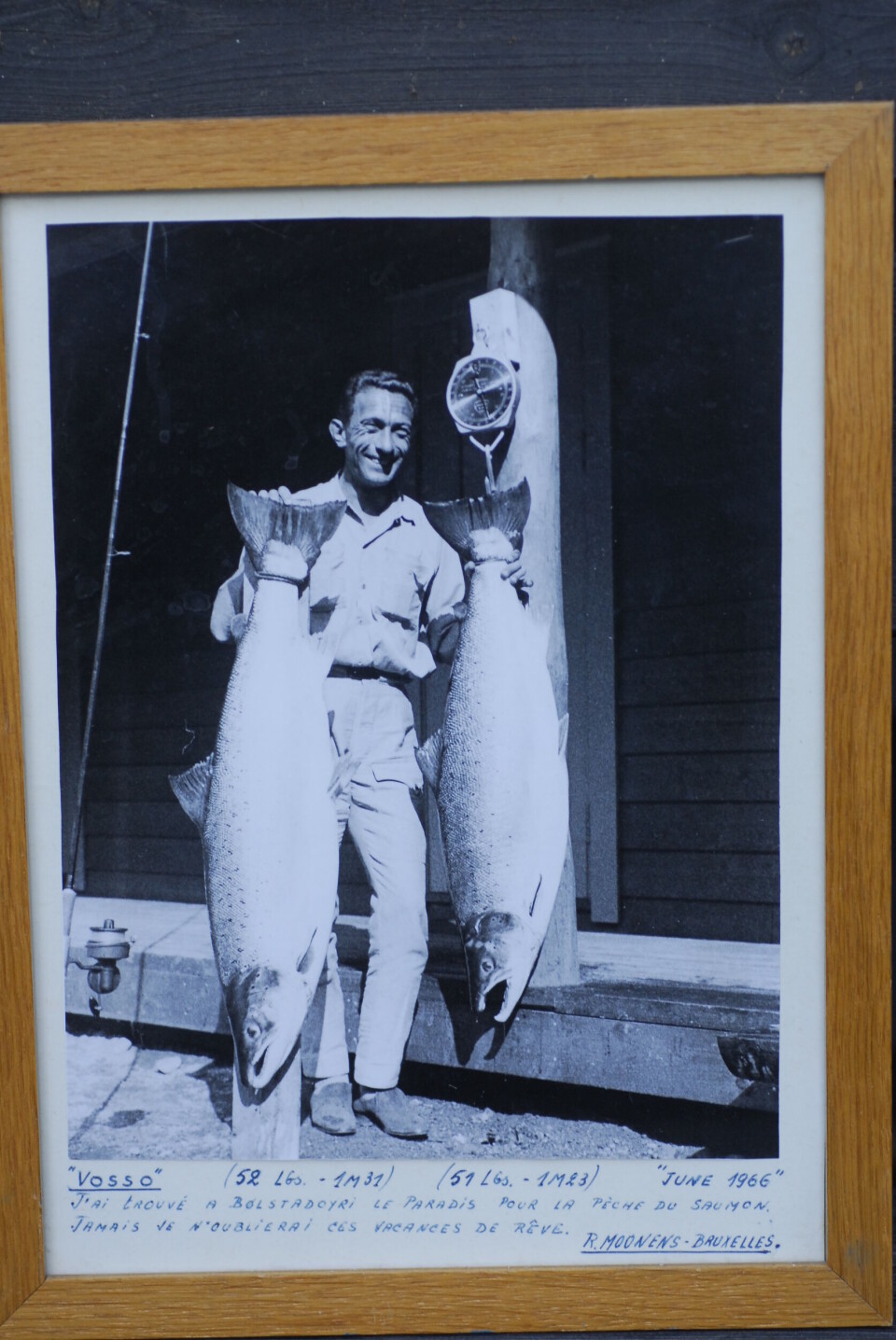 Happy days! I sine velmaktsdager i 1960 årene og 70-tallet var Vossolaksen verdensberømt for sin størrelse. Her to eksemplarer på 23,5 kg og 23,1kg, fisket i Bolstadelva, nedre del av vassdraget, i juni 1966 Happy days! I sine velmaktsdager i 1960 årene og 70-tallet var Vossolaksen verdensberømt for sin størrelse. Her to eksemplarer på 23,5 kg og 23,1kg, fisket i Bolstadelva, nedre del av vassdraget, i juni 1966