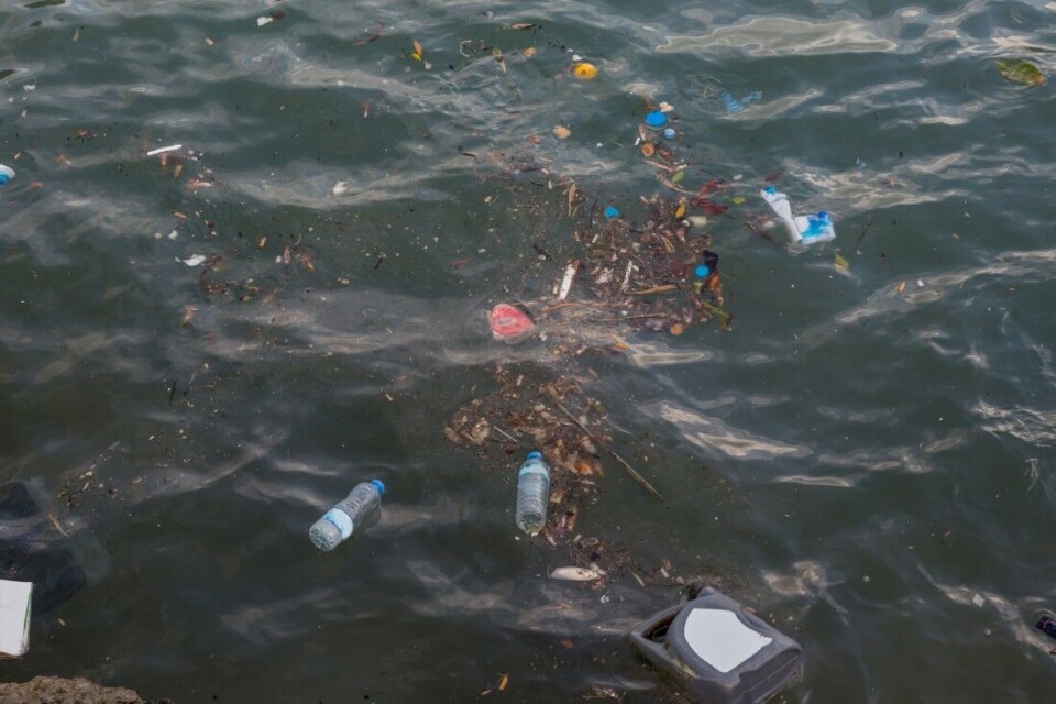 Forskere fant plastsøppel på Norges dypeste dyp