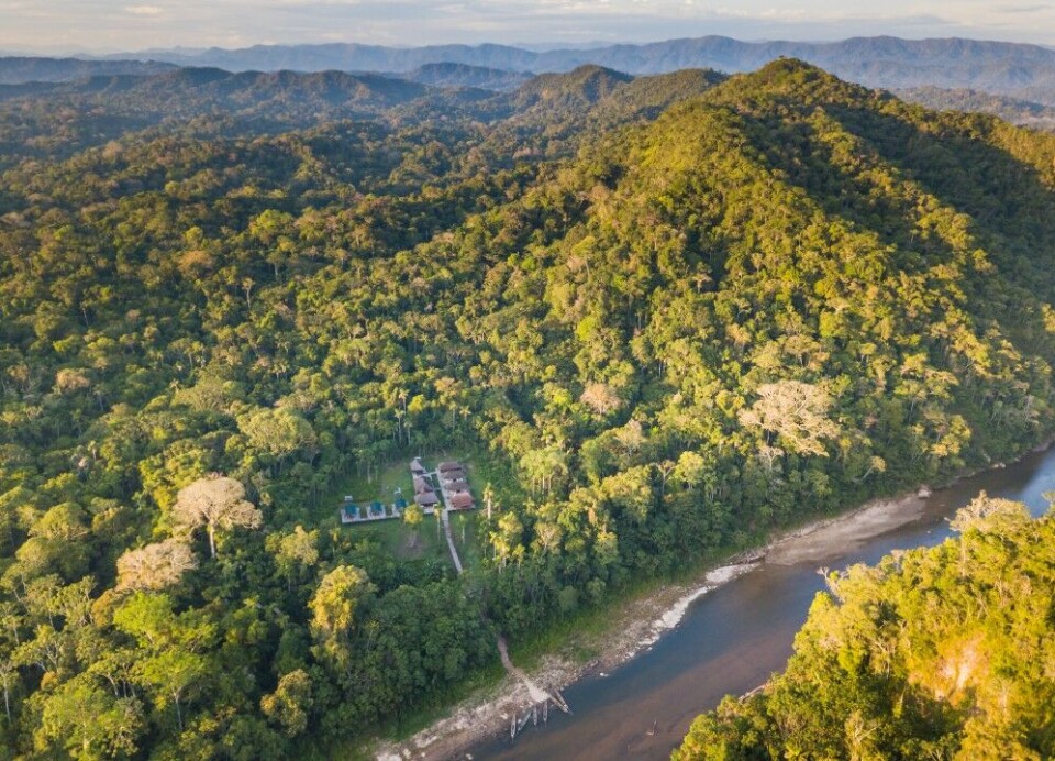 Tsimane Lodge ved elva Securé ligger idyllisk plasert i jungelen. Tsimane Lodge ved elva Securé ligger idyllisk plasert i jungelen.