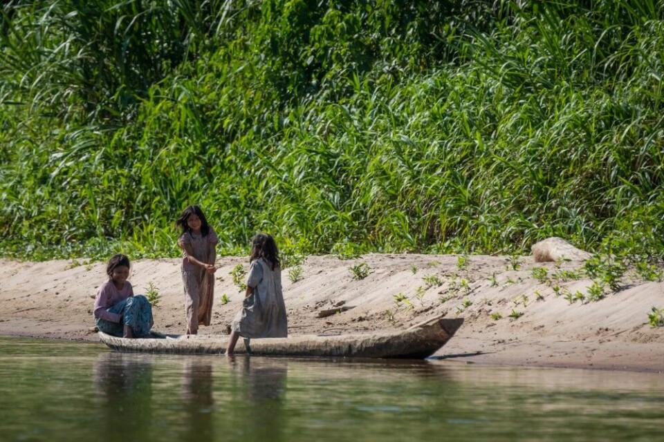 Tsimane-indianerne er urbefolkning i lavlandet i Bolivia. De lever hovedsaklig av jordbruk, men jakt og fiske er også en viktig del av dietten. Tsimane-indianerne er urbefolkning i lavlandet i Bolivia. De lever hovedsaklig av jordbruk, men jakt og fiske er også en viktig del av dietten.