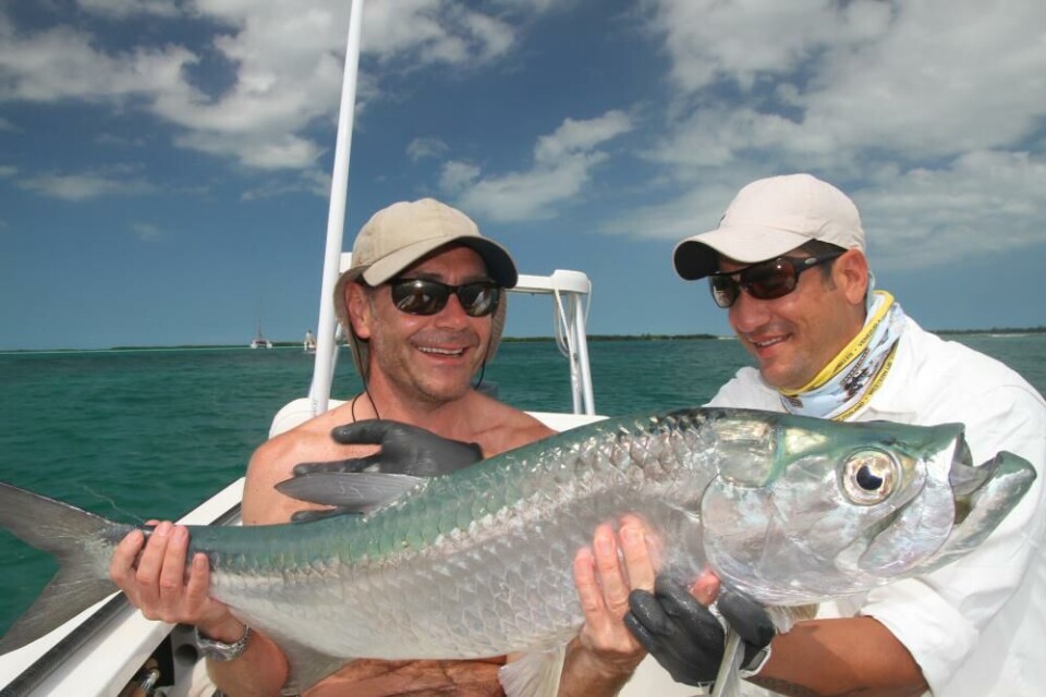 Tarpon er en utrolig sportsfisk som hopper vilt og kjemper hardt. Tarpon er en utrolig sportsfisk som hopper vilt og kjemper hardt.