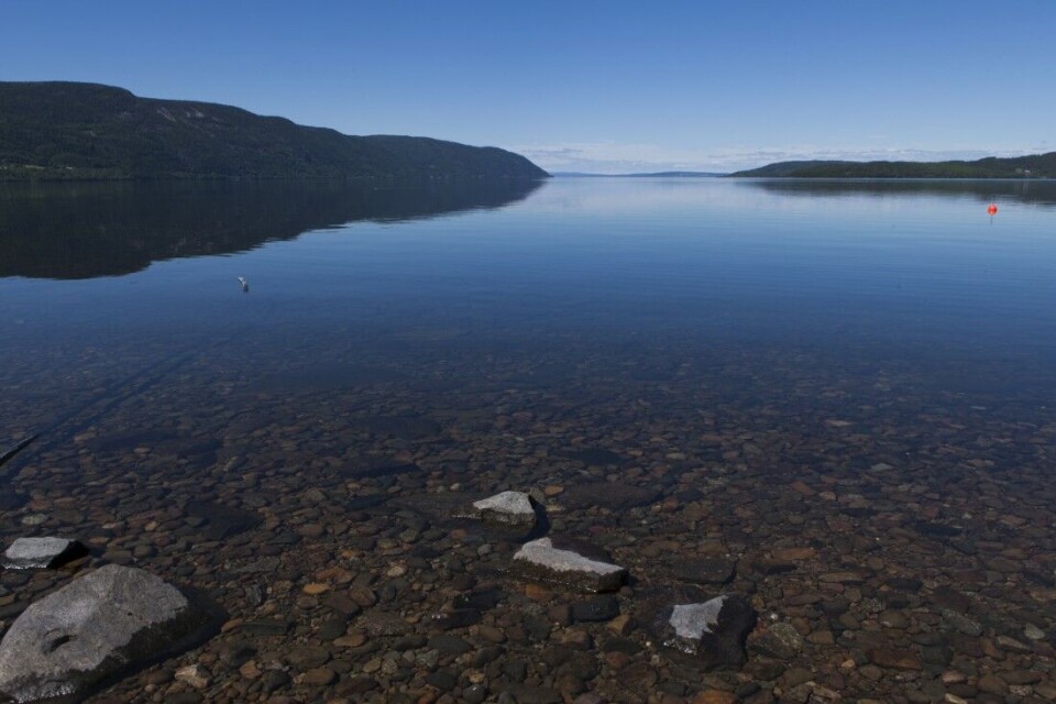 Mye mikroplast funnet i Mjøsa