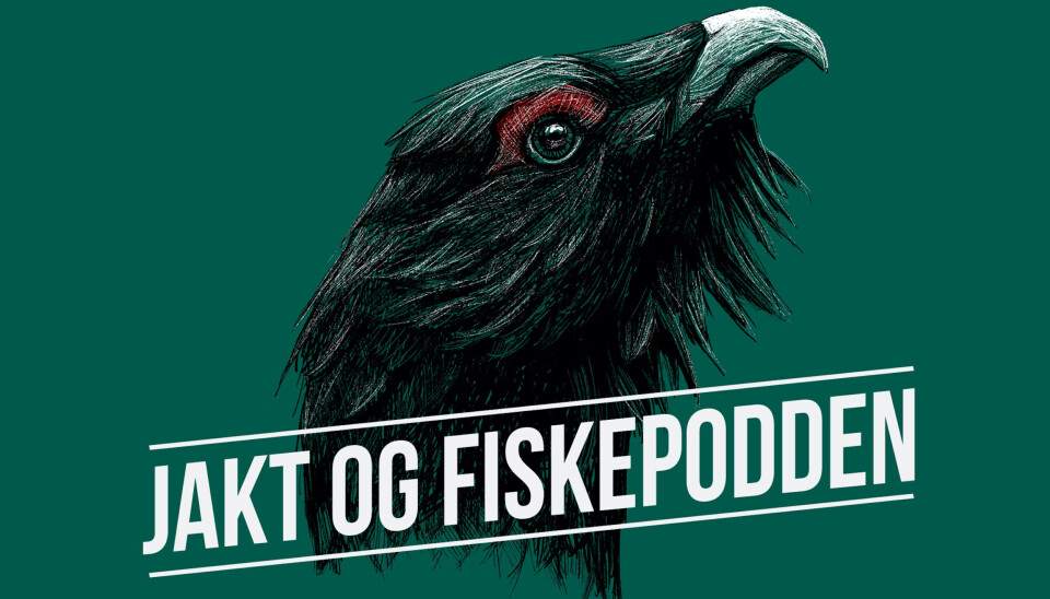 Har nådd sin første million – satser videre
