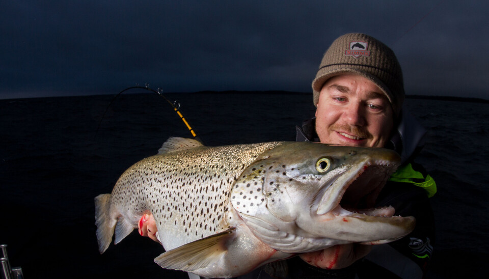 Artikkelforfatteren med sin hittil største brunørret på 7,5 kg. Fisken ble tatt på en håndlaget finsk wobbler. Det ble brukt planerboardoppsett med til sammen seks stenger. Artikkelforfatteren med sin hittil største brunørret på 7,5 kg. Fisken ble tatt på en håndlaget finsk wobbler. Det ble brukt planerboardoppsett med til sammen seks stenger.