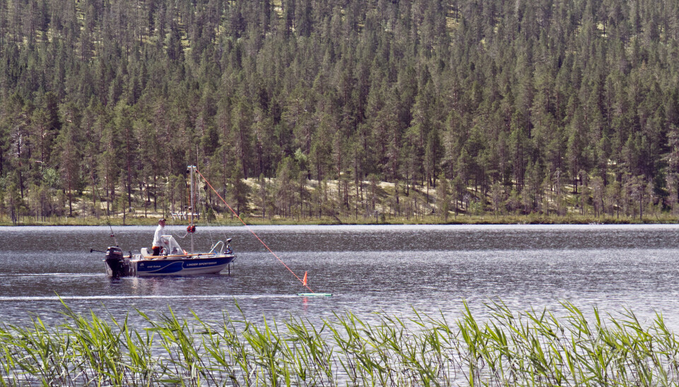 Dorg i bredden – få mer fisk og mindre kaos
