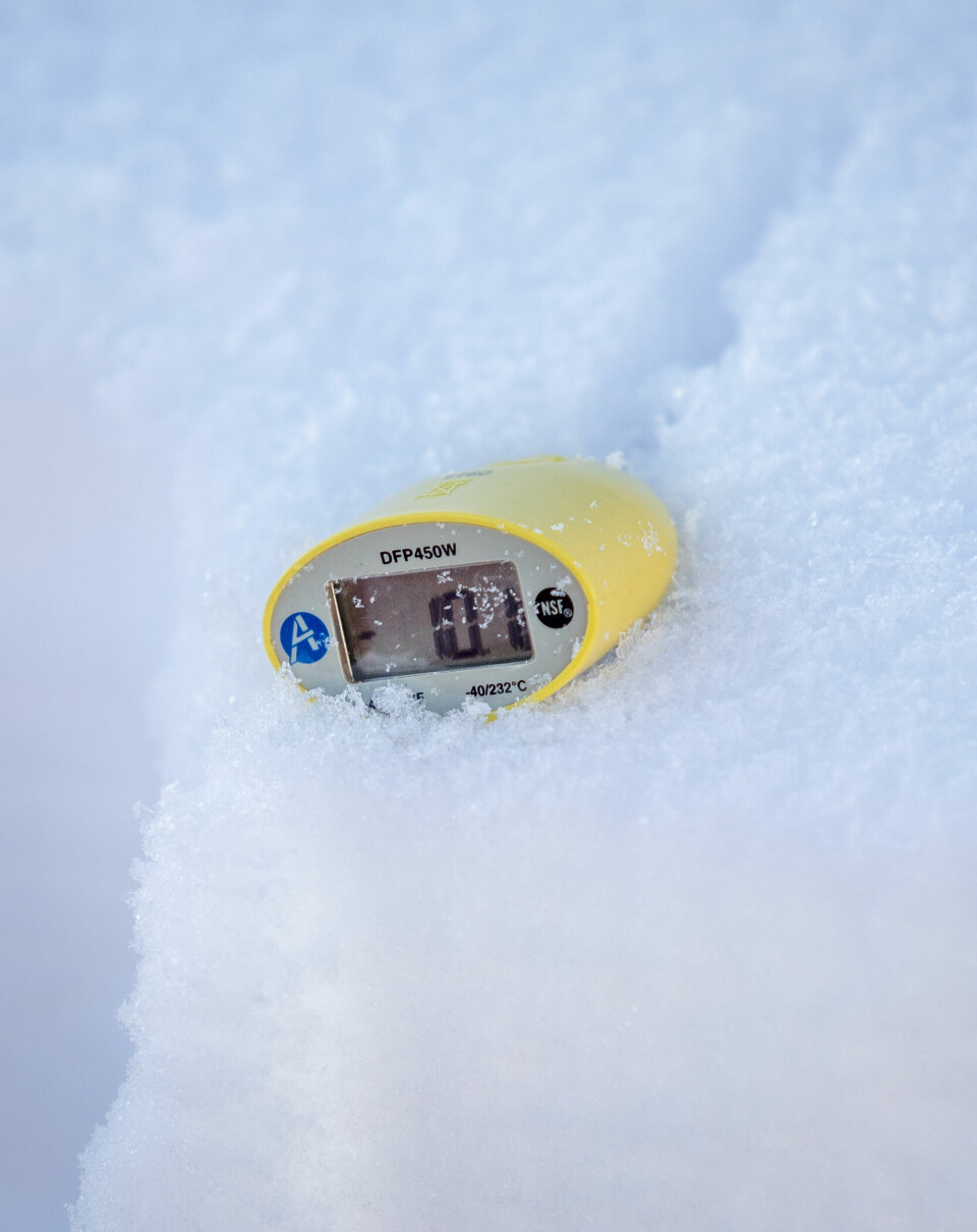 Ved å måle temperaturforskjellen i snødekket, kan vi se om det dannes vedvarende svake lag. Lange perioder med kaldt vær gir typiske forhold for dette.