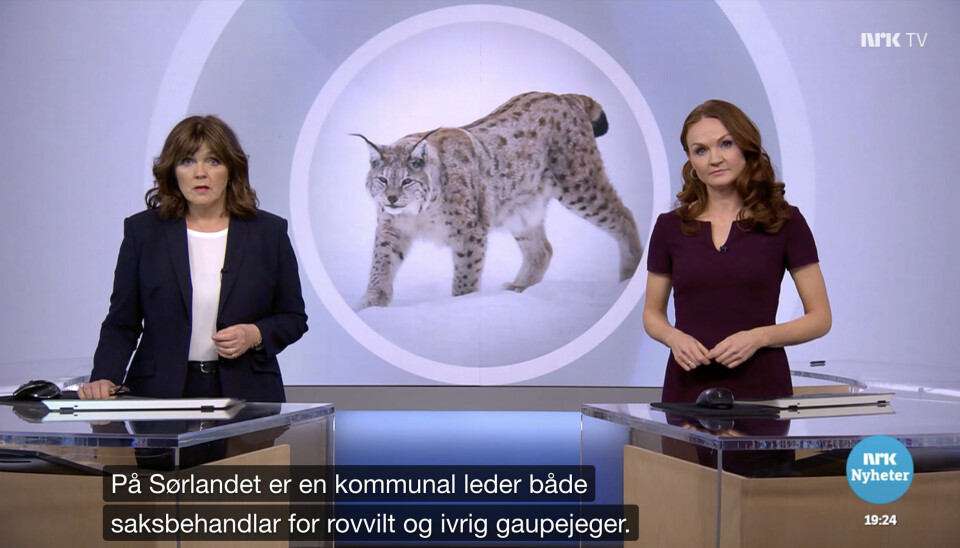 Bildet viser en skjermdump fra sendingen av Dagsrevyen på NRK den 08.02. Nyhetsankerne presenterte innslaget, som i ettertid har ført til trusler mot den omtalte skogbrukssjefen i Bygland kommune. Det er ikke NRK som har fremsatt truslene, men enkeltpersoner som har sett innslaget. – Det er naturlig at sakene skaper engasjement og debatt. Det er med på å styrke og utvikle demokratiet. At noen velger å framsette trusler, tar vi selvsagt kraftig avstand fra, sier fungerende distriktsredaktør Inger-Lise Hansen i NRK Sørlandet. Bildet viser en skjermdump fra sendingen av Dagsrevyen på NRK den 08.02. Nyhetsankerne presenterte innslaget, som i ettertid har ført til trusler mot den omtalte skogbrukssjefen i Bygland kommune. Det er ikke NRK som har fremsatt truslene, men enkeltpersoner som har sett innslaget. – Det er naturlig at sakene skaper engasjement og debatt. Det er med på å styrke og utvikle demokratiet. At noen velger å framsette trusler, tar vi selvsagt kraftig avstand fra, sier fungerende distriktsredaktør Inger-Lise Hansen i NRK Sørlandet.