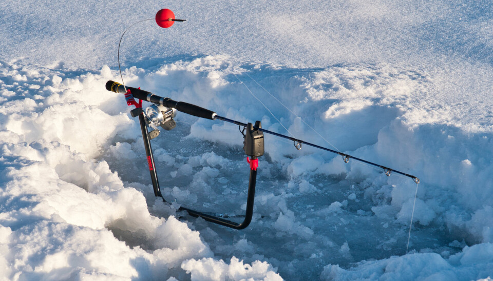 Test av Rapala Stangholder ismeite RMG Edition. Test av Rapala Stangholder ismeite RMG Edition.
