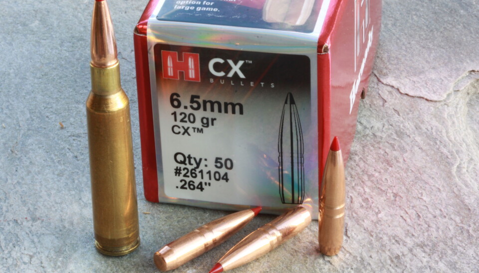 Test av homogen kule Hornady CX.