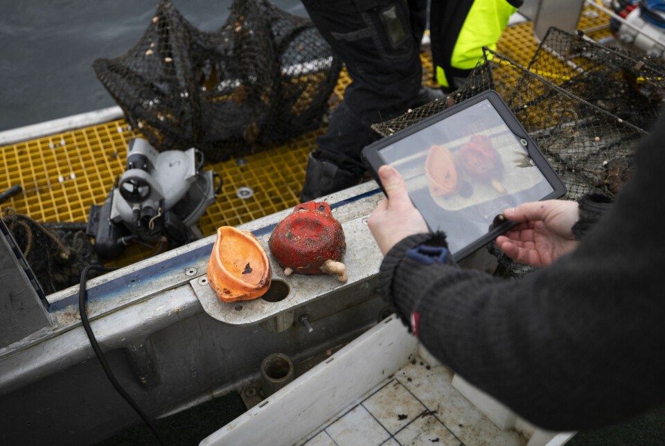 Siden 2019 har over 3.500 fiskeredskaper langs Skagerrakkysten blitt tatt opp, undersøkt og registrert – noe som gir havforskerne stadig bedre kunnskap om hva som mistes, hvor og hvordan.