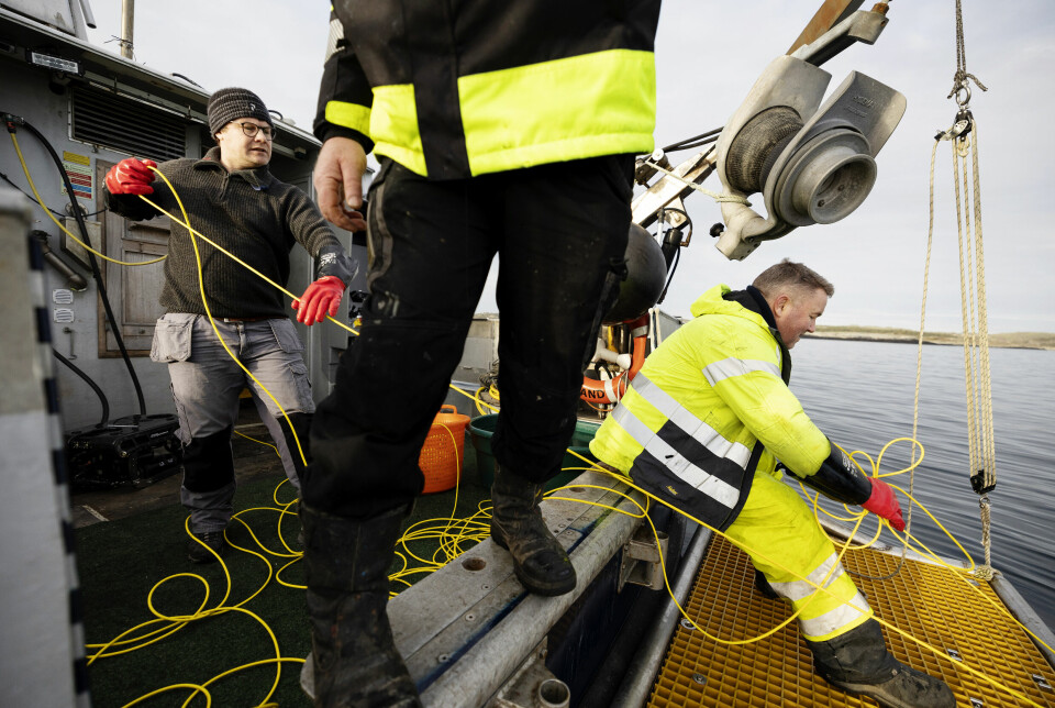 En vanlig dag på jobben plukker mannskapet fra ombord på MS Tyra opp 10-20 tapte fiskeredskaper.