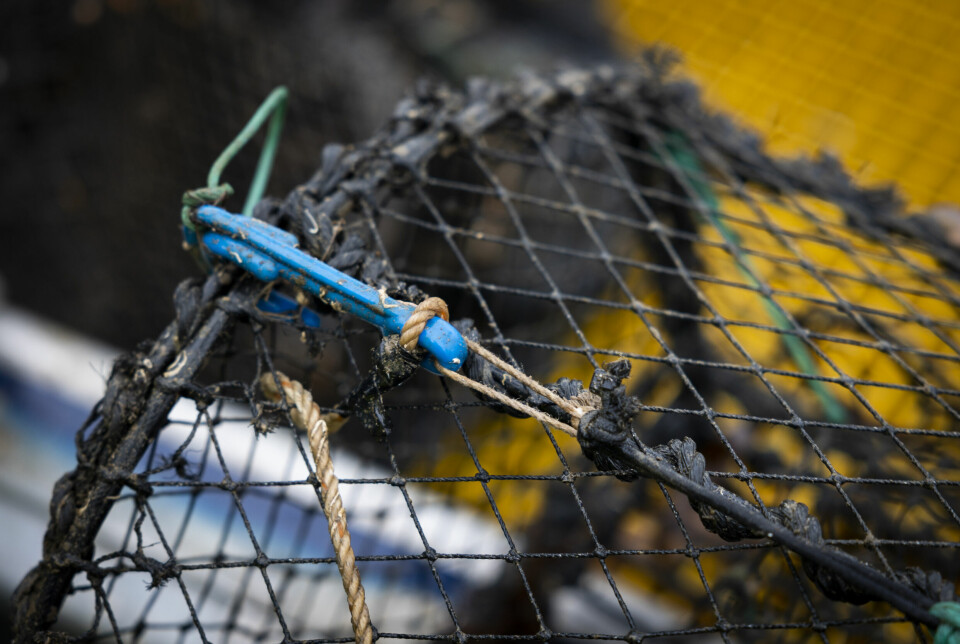 Denne teina hadde 'råtnetråd' som ikke råtnet. Dermed kunne den fortsette å fiske helt til den ble funnet.