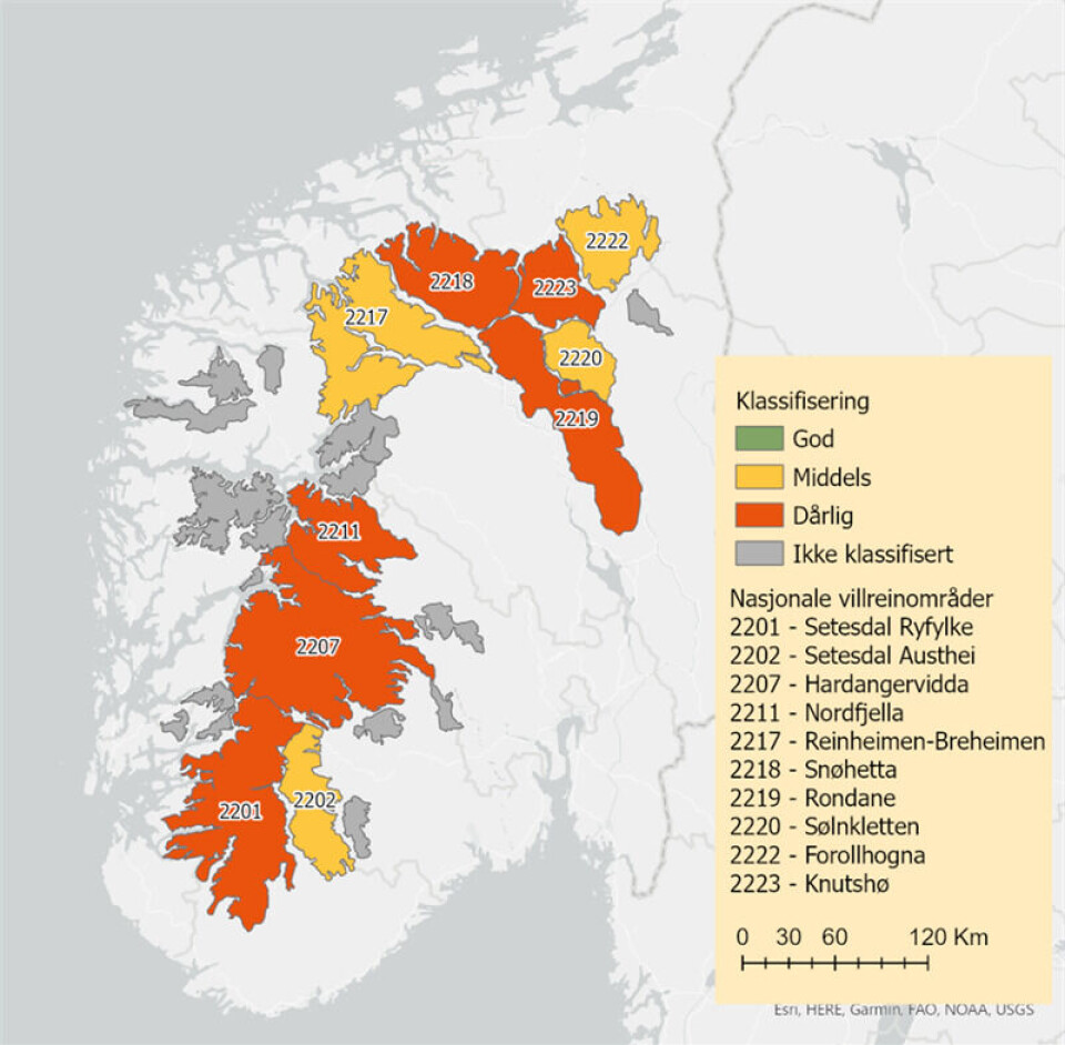 Kvalitetsnorm for villrein vurderer tilstanden til villreinen i hvert av våre 24 villreinområder. Vurderingen forteller hvilke utfordringer knyttet til bestandsforhold, beite og forstyrrelser i de ulike områdene. Den første klassifiseringen viser at villreinen har til dels betydelige utfordringer i alle de ti nasjonale villreinområdene. Kvalitetsnorm for villrein vurderer tilstanden til villreinen i hvert av våre 24 villreinområder. Vurderingen forteller hvilke utfordringer knyttet til bestandsforhold, beite og forstyrrelser i de ulike områdene. Den første klassifiseringen viser at villreinen har til dels betydelige utfordringer i alle de ti nasjonale villreinområdene.