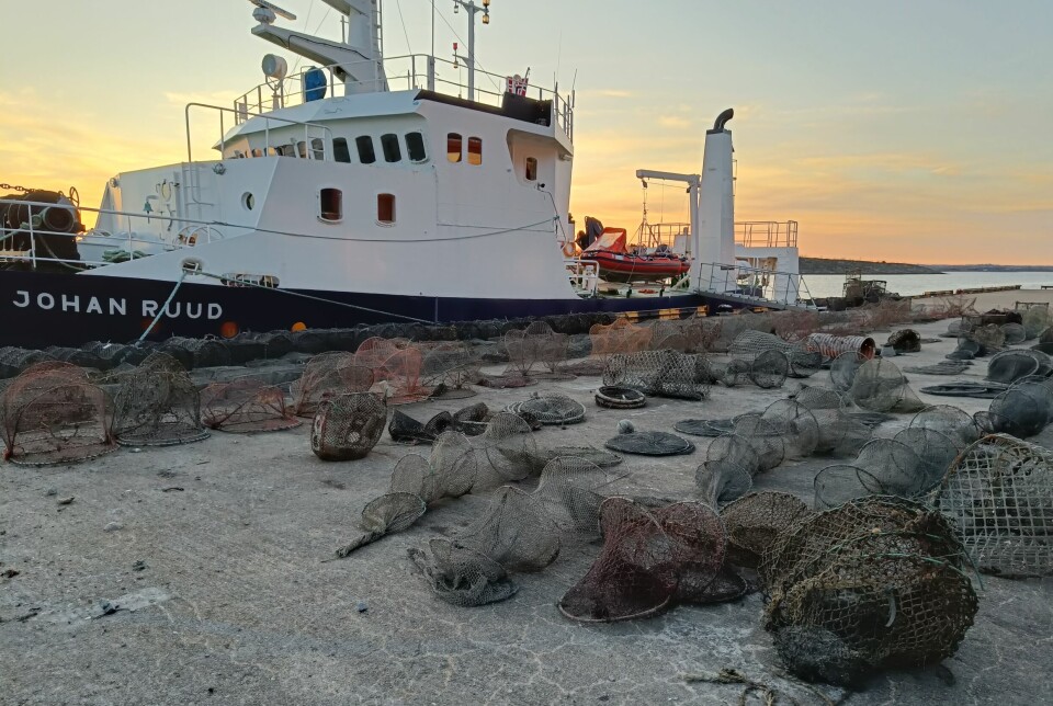 De siste årene har havforskerne og samarbeidspartner Green Bay tusenvis av teiner i flere nasjonalparker. Her er Green Bays største båt «Johan Ruud».
