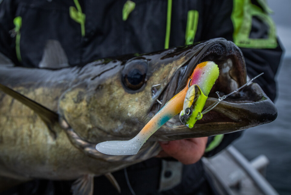 Imitasjon
eller attraksjon?